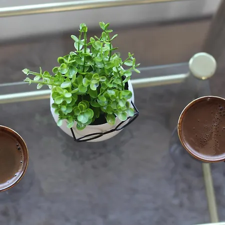 Salas Belo Brdo Σπίτι διακοπών Cerevic