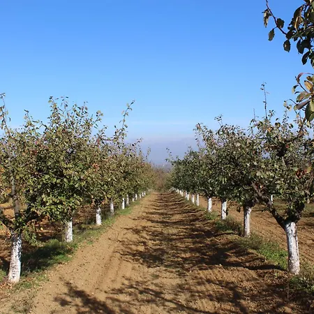 Salas Belo Brdo Σπίτι διακοπών *