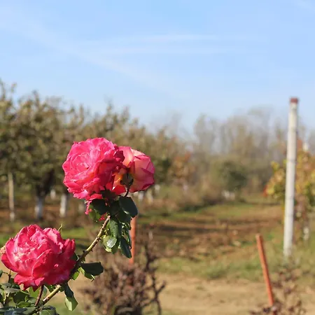 Salas Belo Brdo Σπίτι διακοπών *