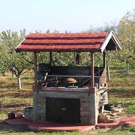 Salas Belo Brdo * Cerevic