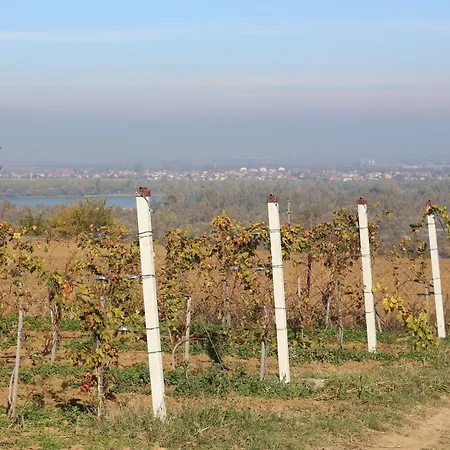 Salas Belo Brdo Cerevic