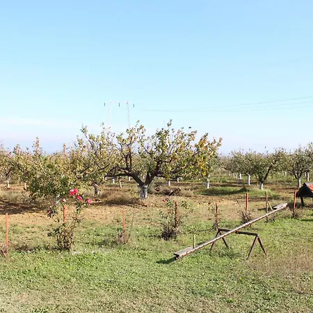 Salas Belo Brdo * Cerevic