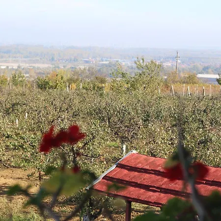 Σπίτι διακοπών Salas Belo Brdo