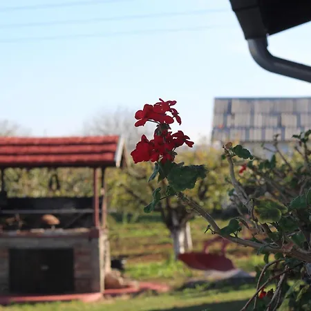 Salas Belo Brdo Σπίτι διακοπών Cerevic