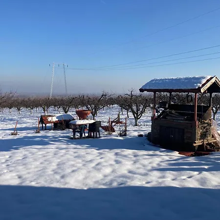 Σπίτι διακοπών Salas Belo Brdo Cerevic